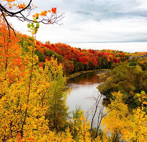  Kitchener–Waterloo