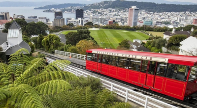  Wellington
