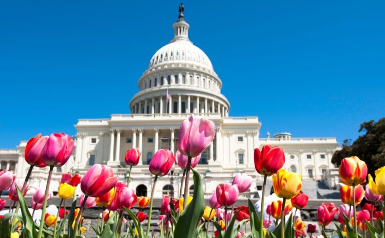  Washington D.C.