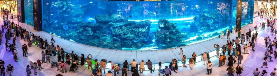 Curiosidades de Dubai - El Dubai Mall