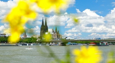 Cologne