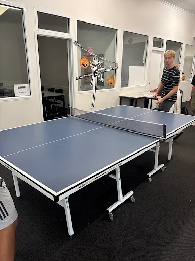 Mesa de ping pong