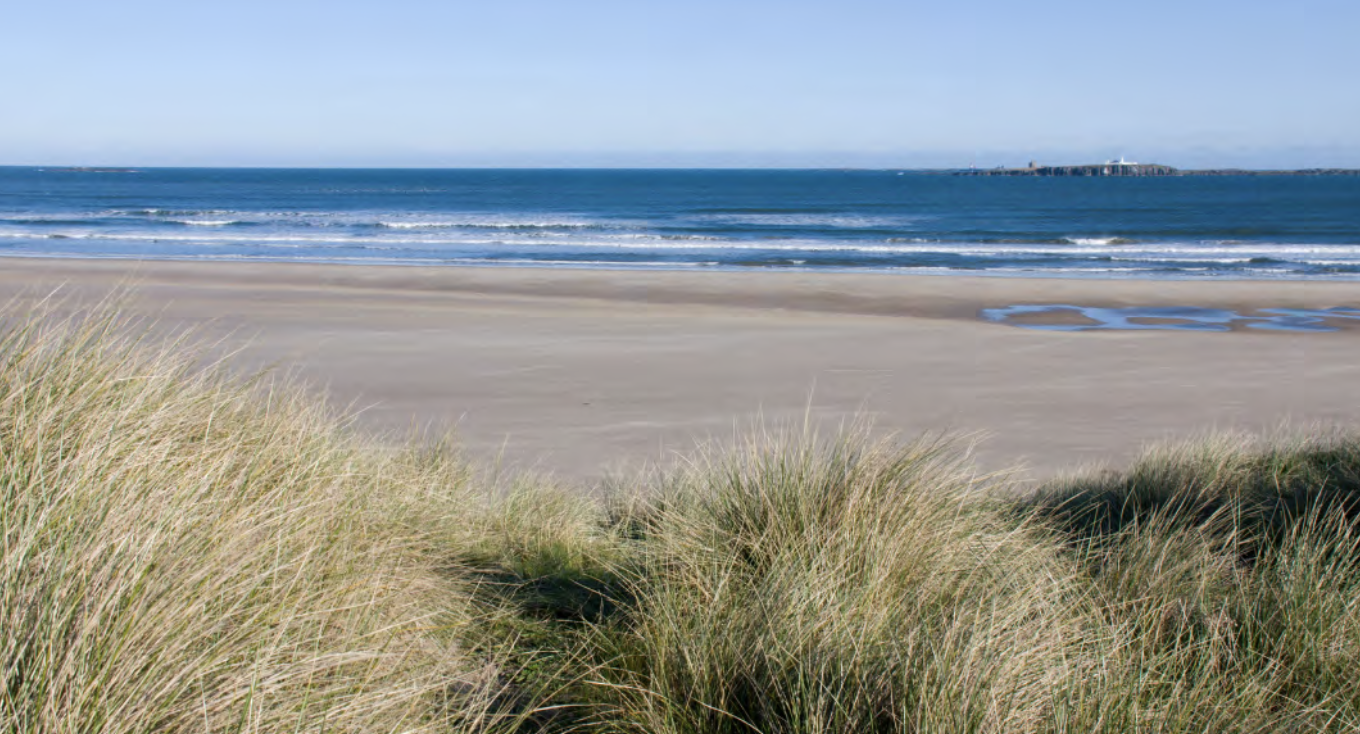 Kings English: Newcastle la playa no muy lejos.