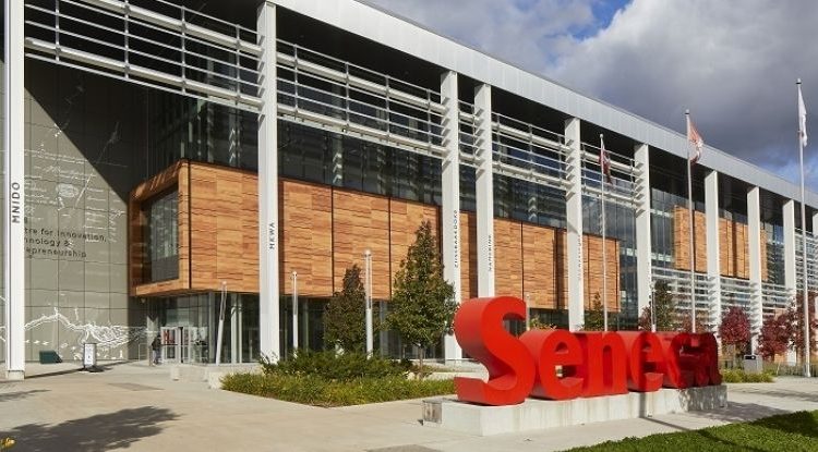 Post-diplomas en Canadá: la especialización de un año que abre el mercado laboral